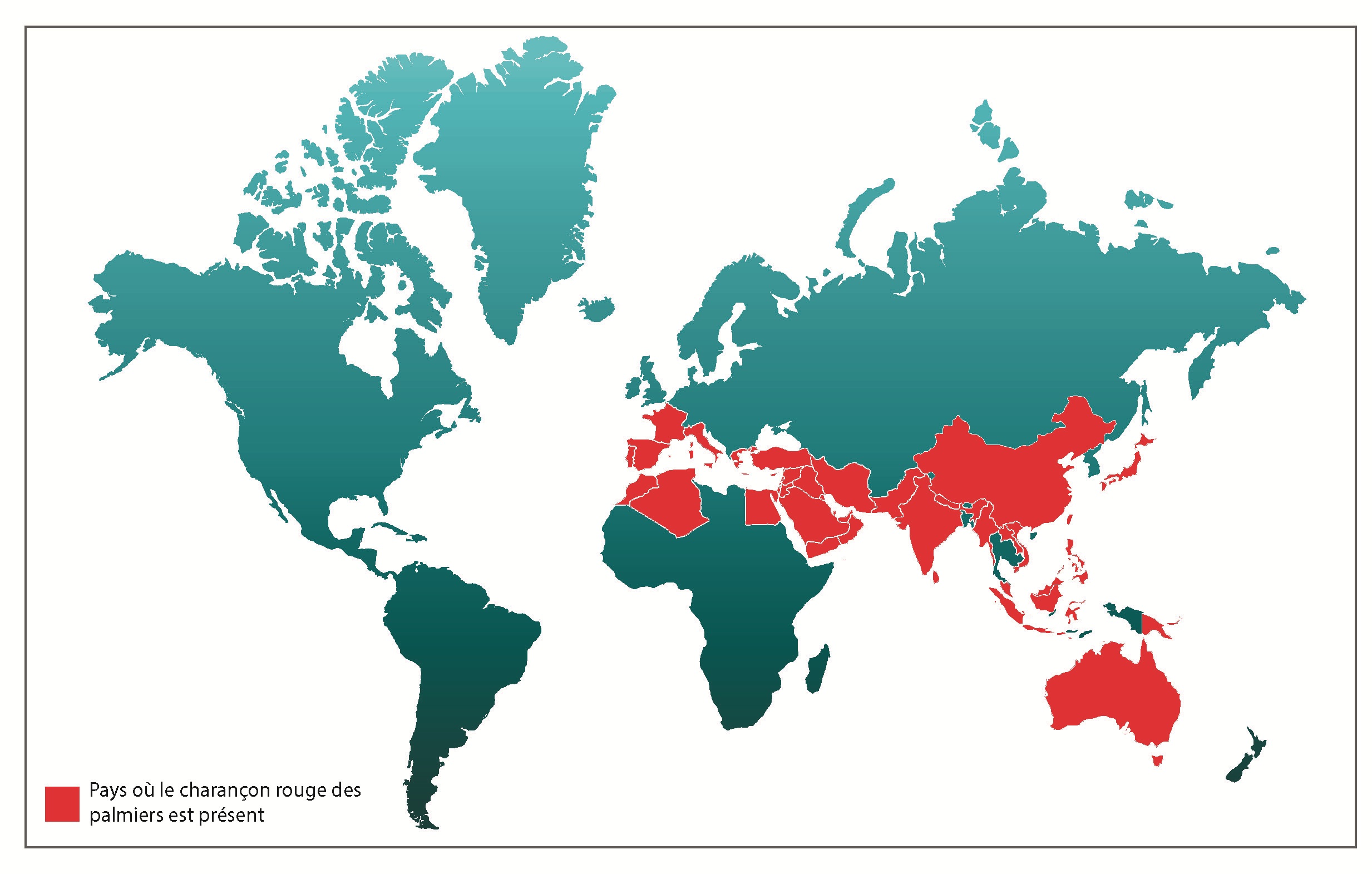 Distribución mundial del rhynchophorus ferrugineus
